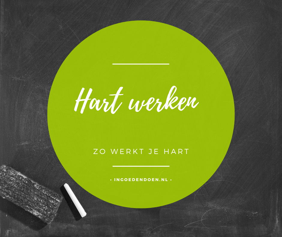 zo werkt je hart